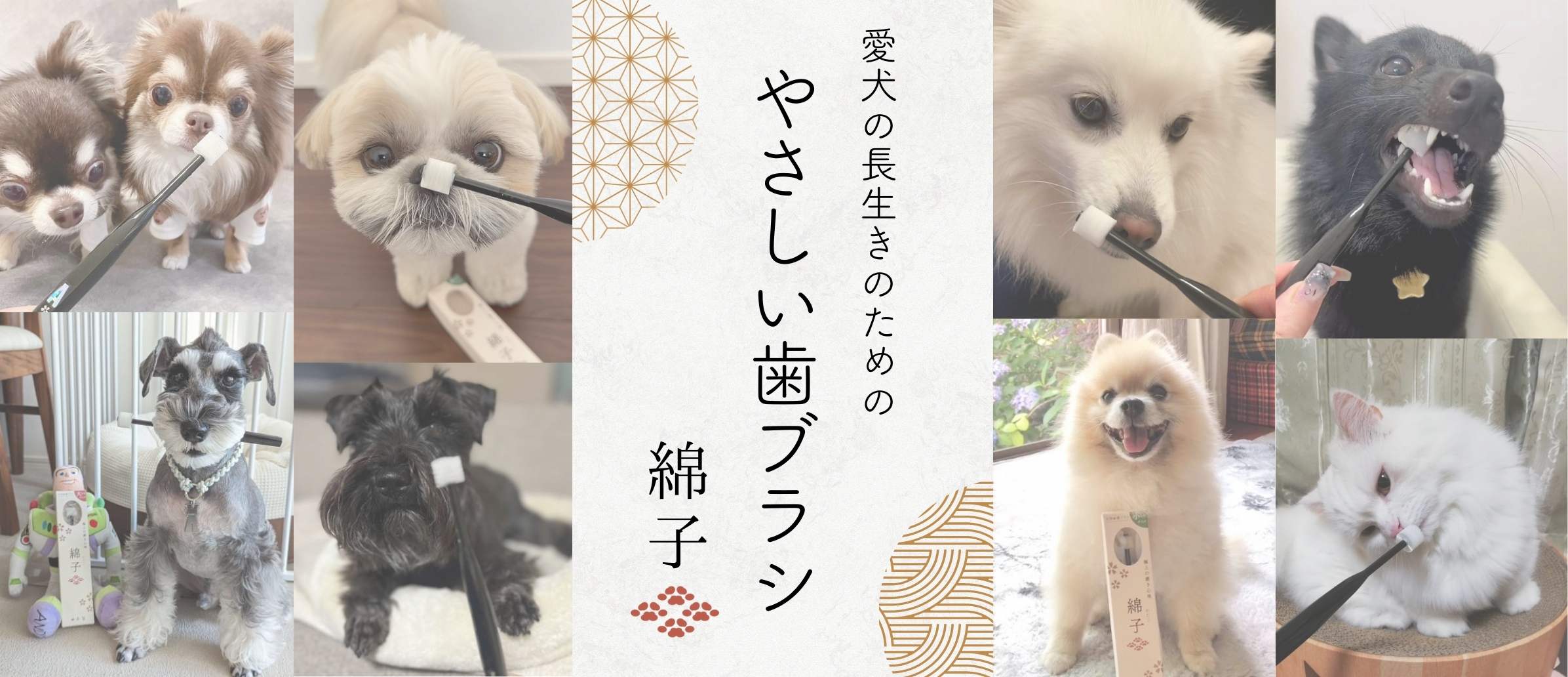 ペットグッズストアNONKORO-LIFE【オンラインショップ 】- ペット用品・販売・犬服・ドッグフードの販売