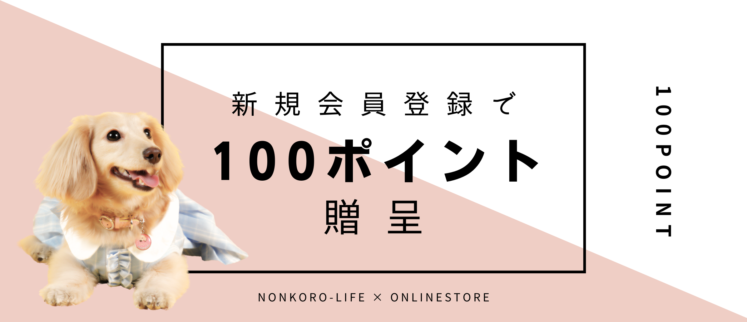 新規会員登録で100P進呈